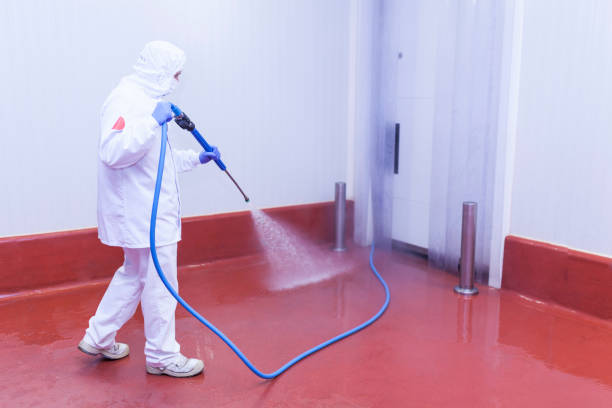 Best Patio and Deck Pressure Washing  in Franklinville, NC