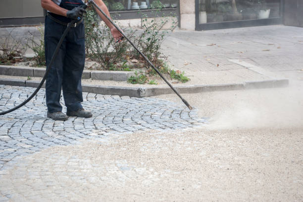 Best Pre-Holiday Cleaning  in Franklinville, NC