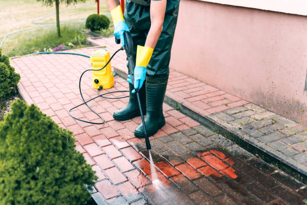 Best Animal Enclosure Cleaning  in Franklinville, NC